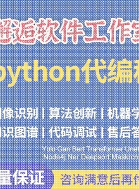 Python代编程强化深度机器学习图像识别知识图谱算法创新调试代码