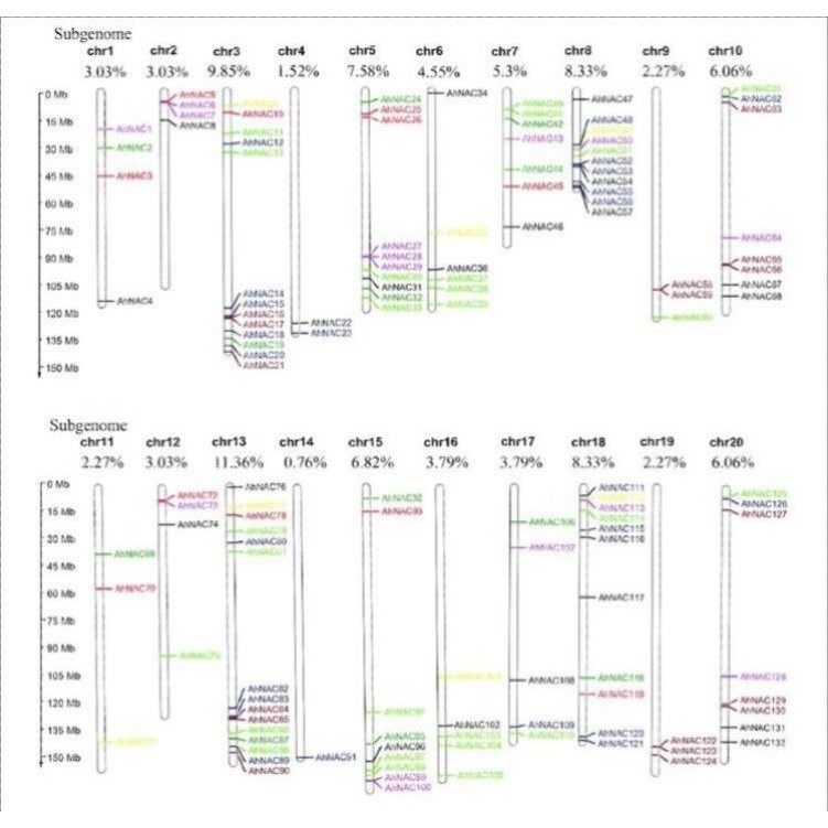 基因家族全套系统进化树绘制Circos设计图绘图生物信息数据分析
