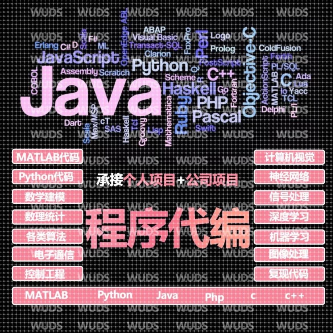 python代编程帮做opencv图像识别目标检测yolo语义分割matlab程序