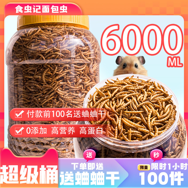 小刺猬鸟龟金丝熊芦丁鸡仓鼠粮食
