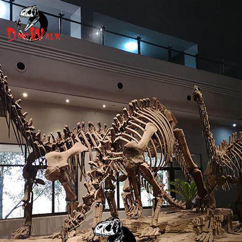 博物馆恐龙化石主题公园恐龙骨架小品景观展出仿真化石标本出售