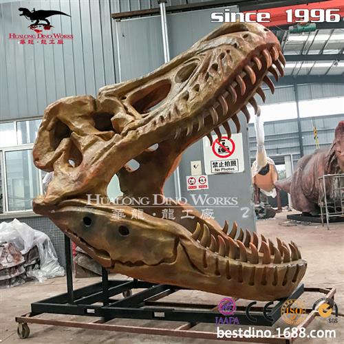 玻璃钢工艺年生产经验丰富仿真霸王龙头骨架模型丛林博物馆摆件