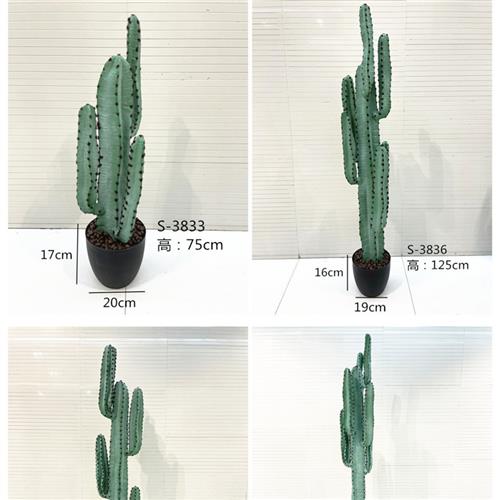 仿真仙人掌盆栽仙人柱塑料仿真仙人球盆景大型热带沙漠绿植摆件