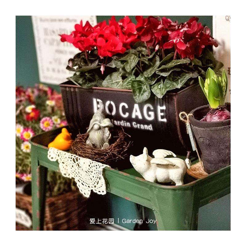 |园艺杂货庭院阳台装饰摆件铁艺做旧铁皮套盒长方花盒,鲜花速递/花卉仿真/绿植园艺,花盆,淘宝优惠券,粉丝福利购,淘宝优惠卷
