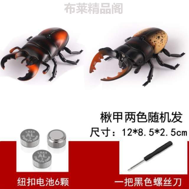 无线仿真蜈蚣电动蜘蛛抖音乌龟动物模型遥控儿童同款}蝎子玩学生