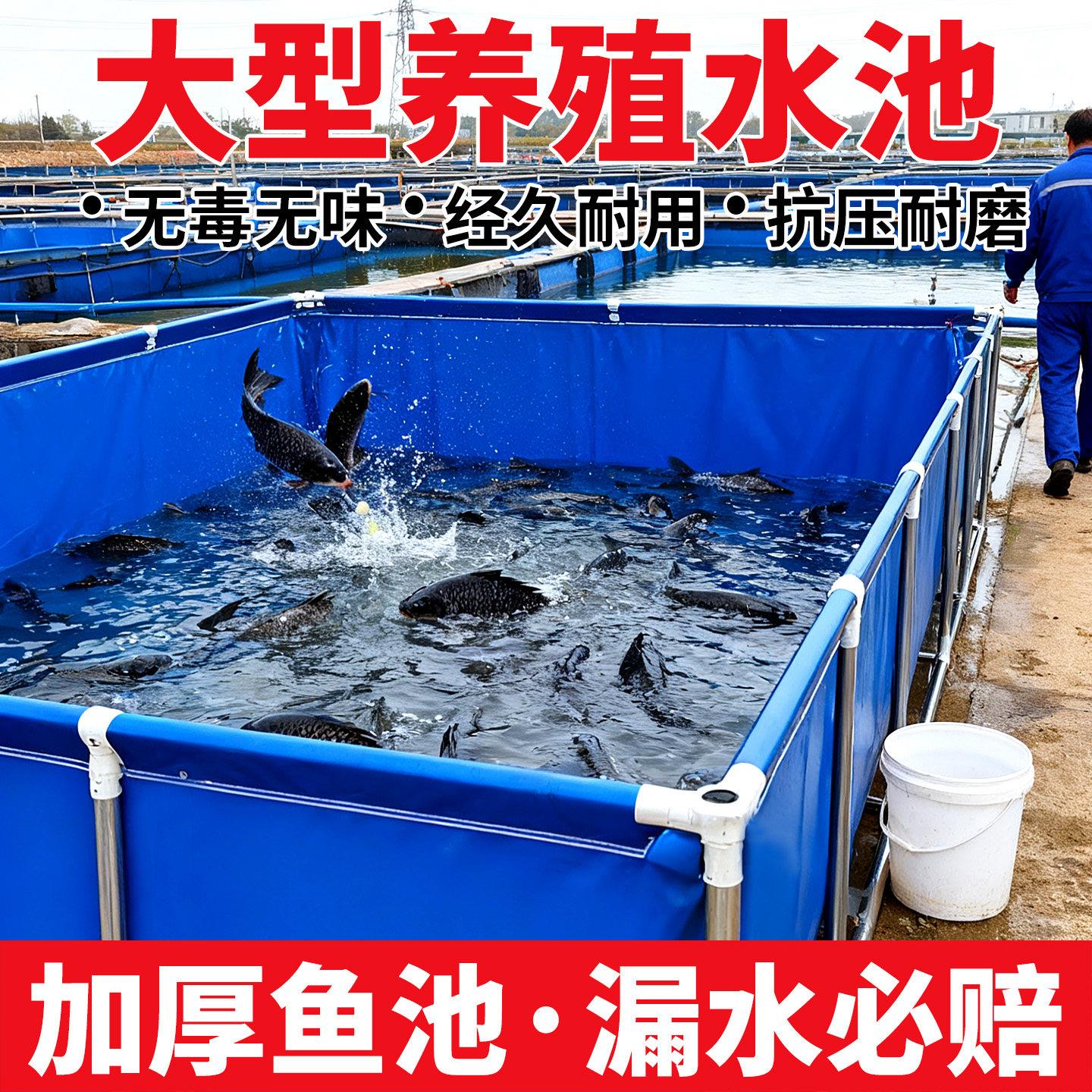帆布鱼池养殖专用水池布家用养鱼水箱储水槽大型刀刮布果园蓄水池
