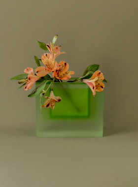 place (in) place (in) 系列 树脂透明花瓶 家居装饰摆件节日礼物