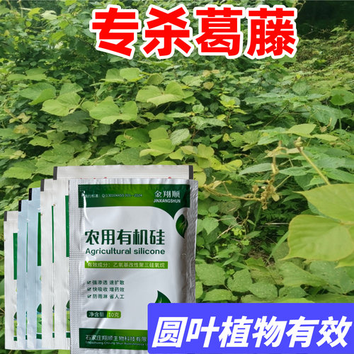 葛藤专用除草剂灌木爬山虎水花生刺槐杂灌苗除草剂根剂除葛藤根药