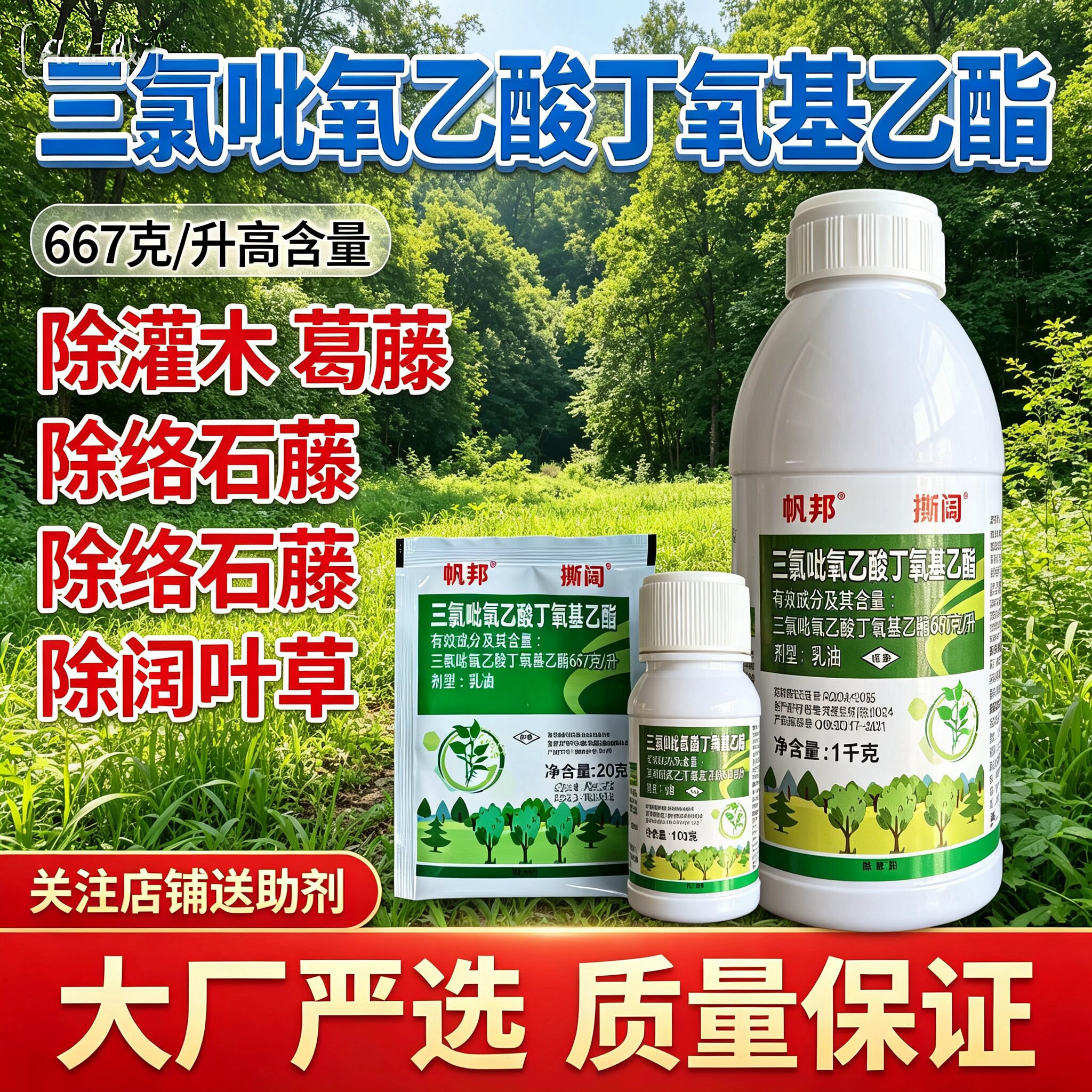 三氯吡氧乙酸灌木恶性阔叶杂草除络石藤除藤蔓除爬山虎络石藤除草