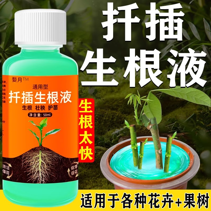 婺月通用型扦插生根液家庭园艺植物花卉专用扦插液壮秧护苗营养液