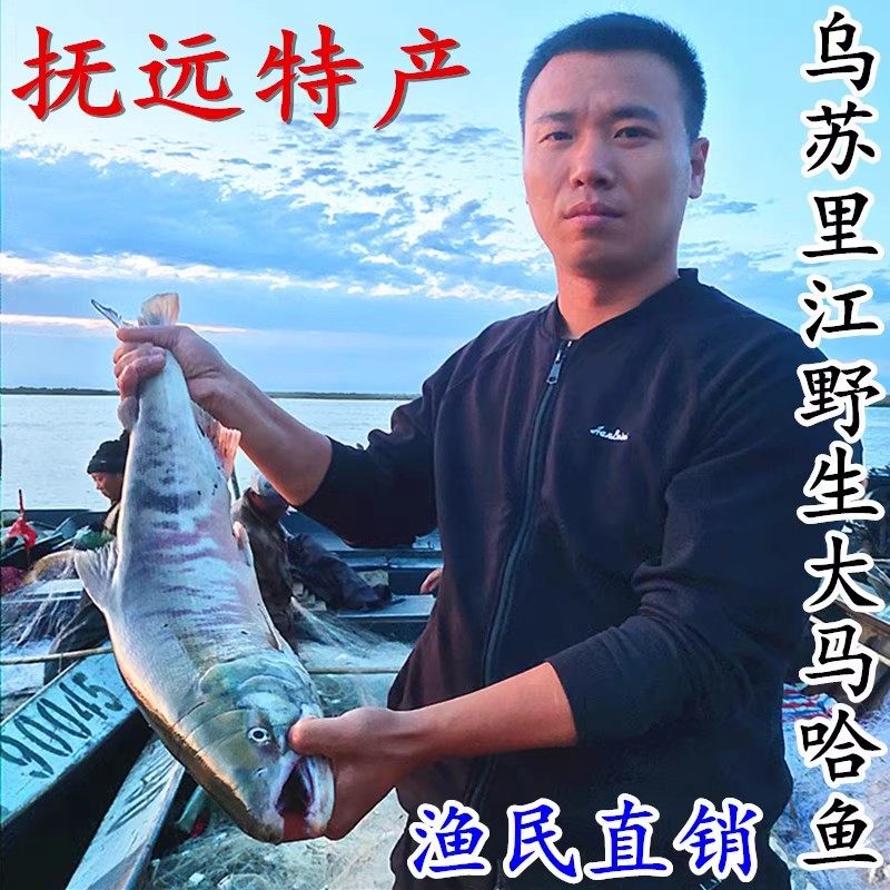 大马哈鱼黑龙江抚远特产新鲜整