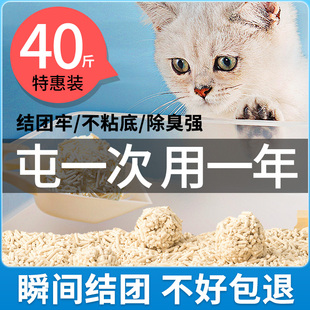 40斤10活性炭混合猫沙猫舍 20公斤除臭无尘实惠装 包邮 猫砂豆腐猫砂