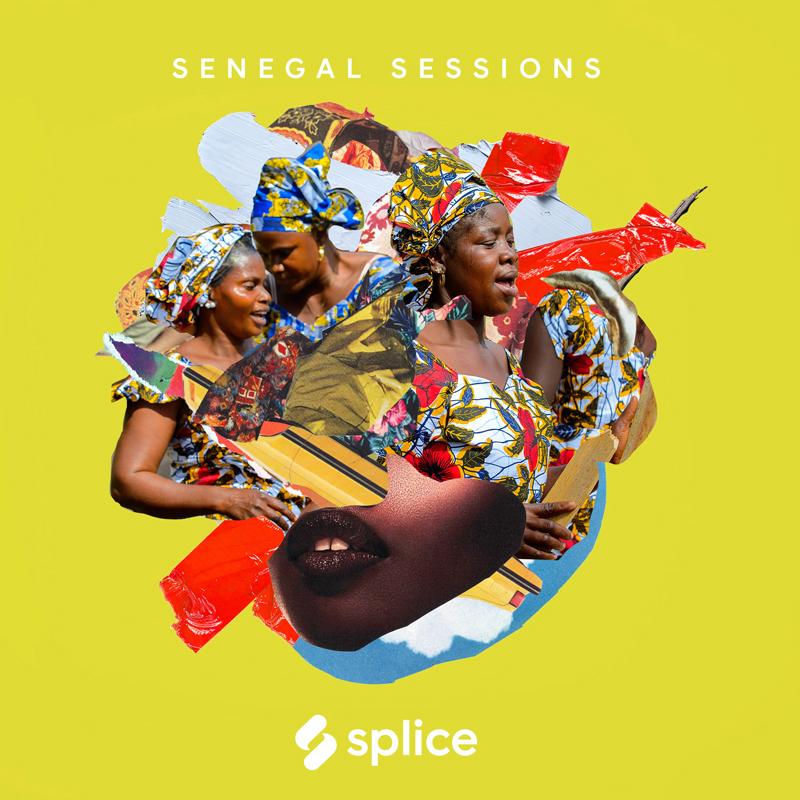 塞内加尔民族采样音色包Senegal Sessions Splice制作【买2送1】