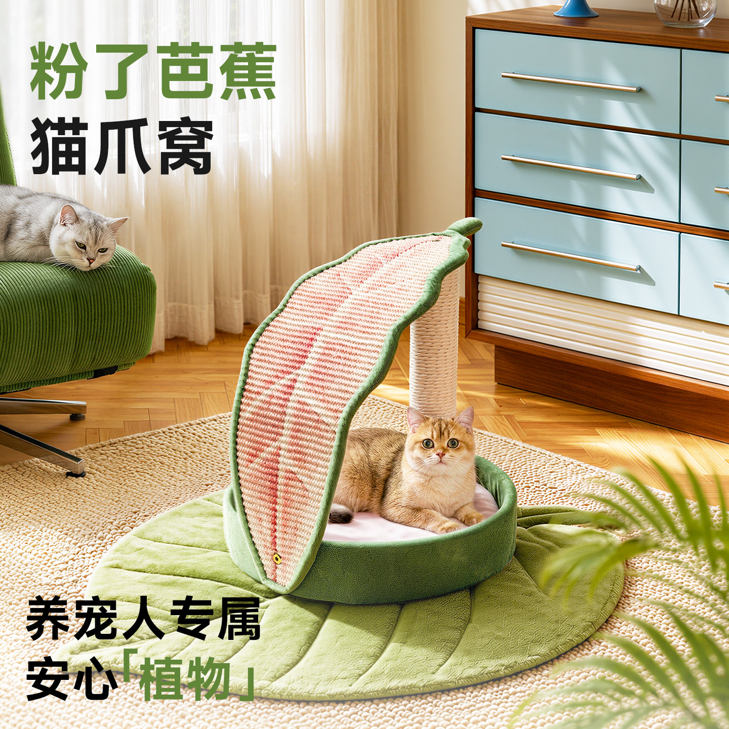 兽牌粉了芭蕉猫抓窝板不易掉屑图片