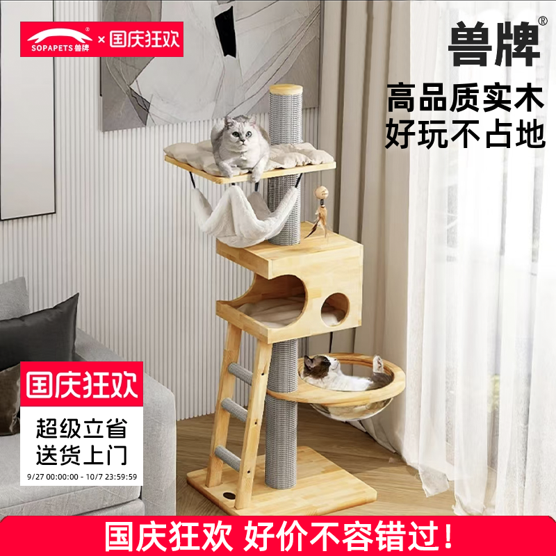 èܲռطȫʵľèèèһСռС