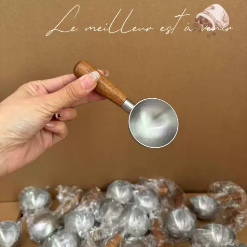 Выкопать арбузной ложки из нержавеющей стали ручка ореха короткая ручка.