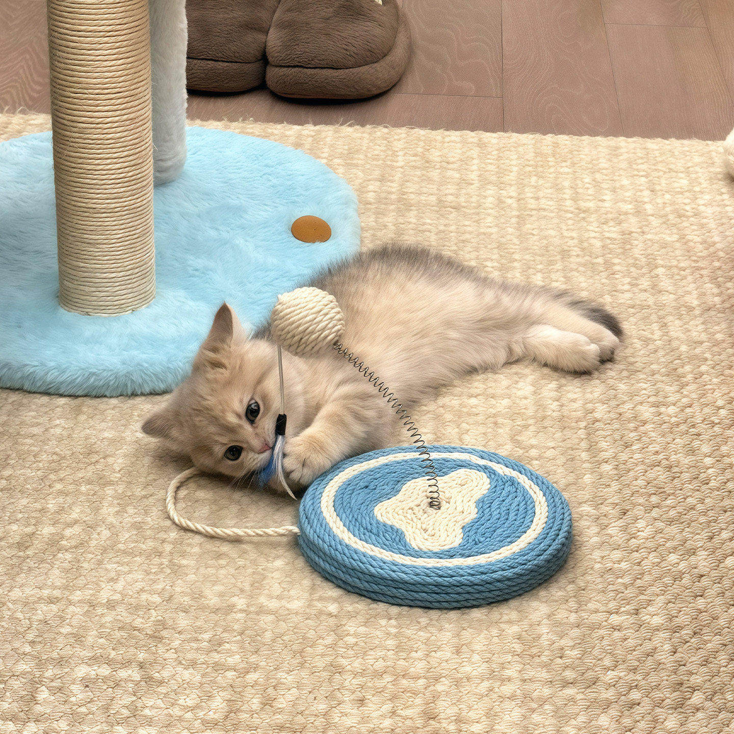 猫咪玩具小奶猫逗猫棒自嗨玩耍水果剑麻弹簧球玩具摇摆球趣味玩具