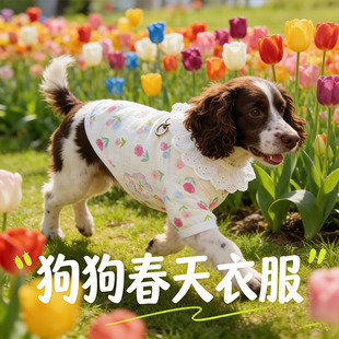 史宾格专用狗狗衣服春装薄款2026新款宠物小狗背心大型犬春夏天