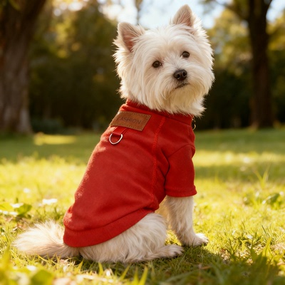 西高地专用狗狗衣服2025新款小型犬冬天小狗秋冬季卫衣可牵引保暖