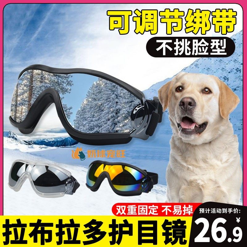 拉布拉多专用狗狗护目镜宠物配饰小狗墨镜防风眼镜大型犬太阳镜,宠物/宠物食品及用品,宠物眼镜/护目镜,淘宝优惠券,粉丝福利购,淘宝优惠卷