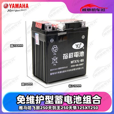 雅马哈摩托车电瓶天剑王250i8 禧发110飞致250天峻天隼正品蓄电池