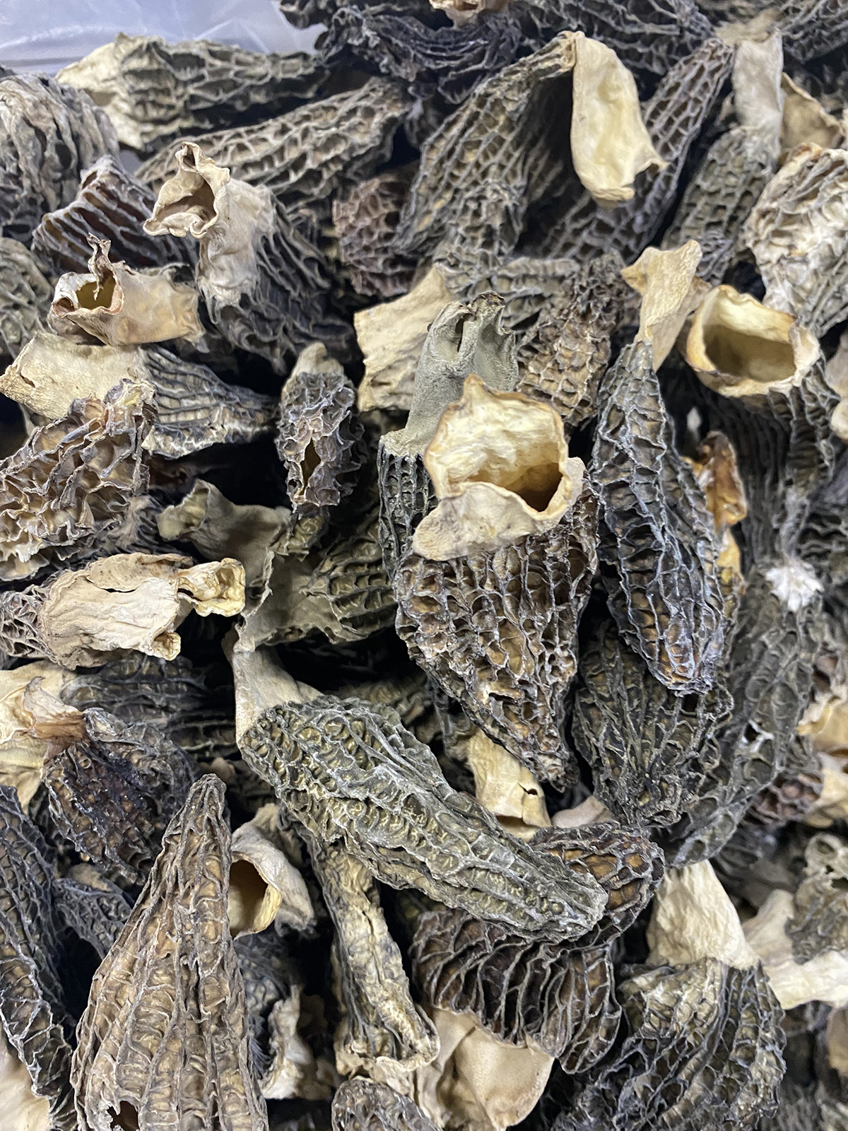 特价植物君优选福建羊肚菌50g干货少量断裂 样子不好看自己吃划算,粮油调味/速食/干货/烘焙,羊肚菌,淘宝优惠券,粉丝福利购,淘宝优惠卷