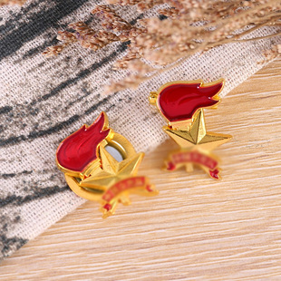 金属胸章少先队员队徽荣誉纪念徽章烤漆滴胶校徽