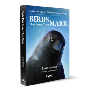 辨认鸟类踪迹工具书 踪迹 珍·古道尔博士作序 鸟儿留下