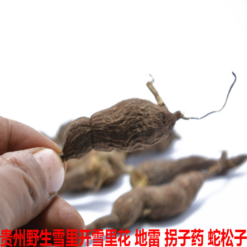 雪里开100克包邮贵州省地产野生中草药材单叶铁线莲拐子药蛇松子