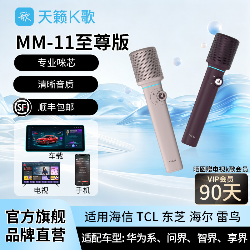 天籁K歌手机电视车载无线麦克风