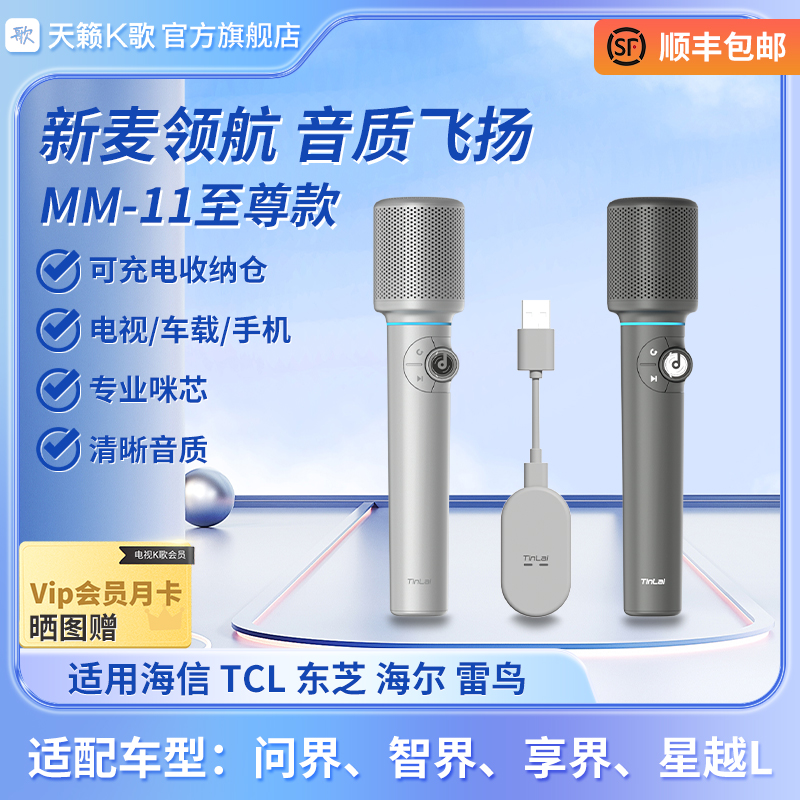天籁K歌多场景麦克风车载电视