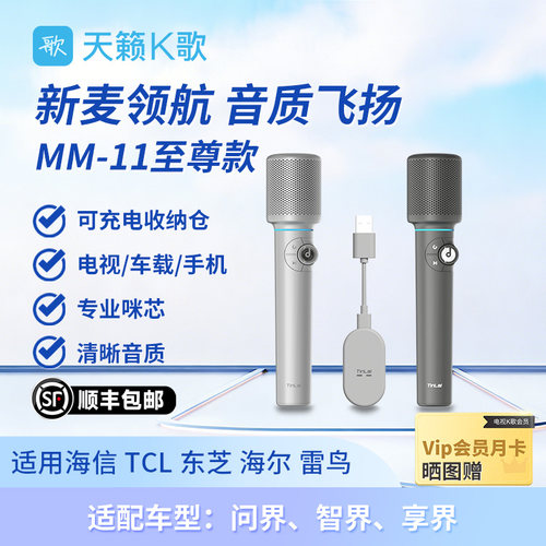 天籁K歌多场景麦克风车载电视