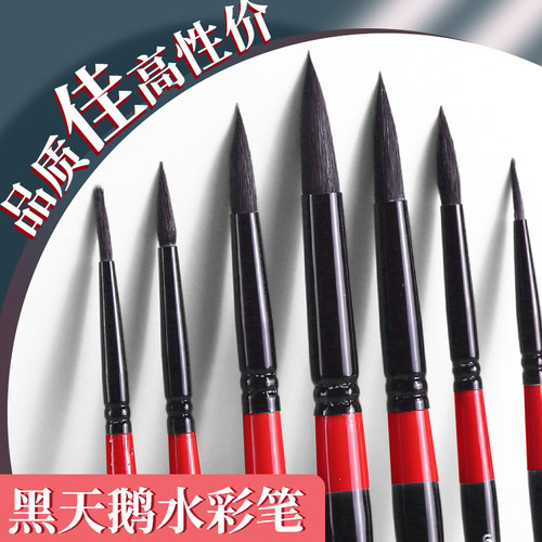 ICOLOUR爱卡乐530黑天鹅水彩笔