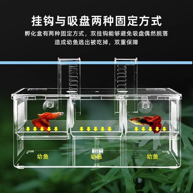 孔雀鱼繁殖盒鱼缸非亚克力隔离盒特大号产卵孵化挂钩式三房孵化盒图片
