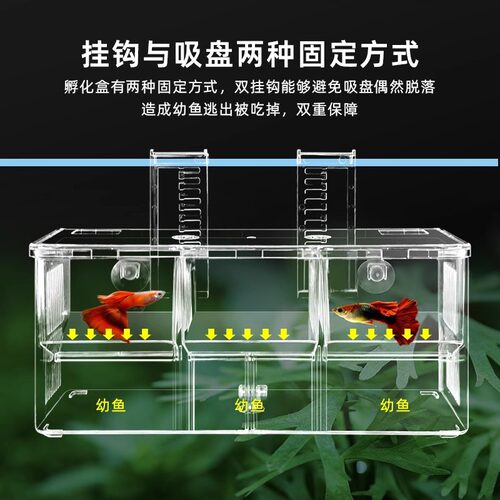 孔雀鱼繁殖盒鱼缸非亚克力隔离盒特大号产卵孵化挂钩式三房孵化盒
