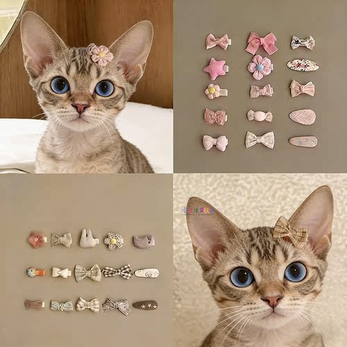 德文猫头饰配饰卡子宠物猫迷你发卡猫咪专用小配饰发夹不掉猫饰品