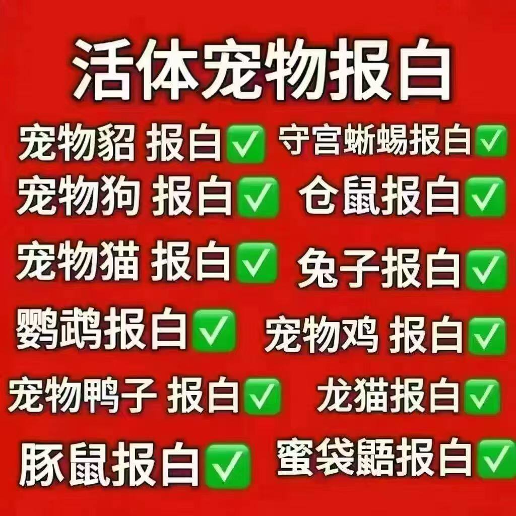 抖音直播间宠物活体报白定向邀约狗狗猫咪抖店开通防风控报白类目
