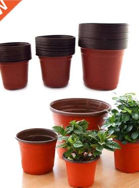 Plant Flower Pots Plastic Cactus Tiny Nursery Pot Transplant