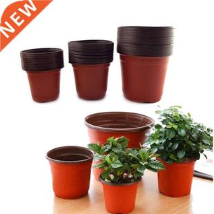Plastic Cactus Tiny Plant Pot Pots Nursery Transplant Flower