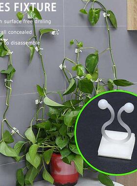 20Pcs Invisible Wall Vines Fixture Rattan Clamp Clip Wall St