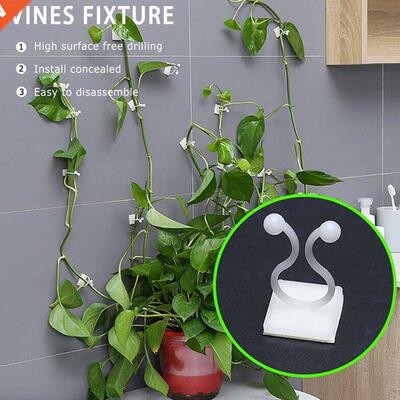 20Pcs Invisible Wall Vines Fixture Rattan Clamp Clip Wall St