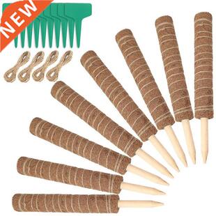 Moss Rod Spiral Totem Plant Support for Climbing Indoor Pott