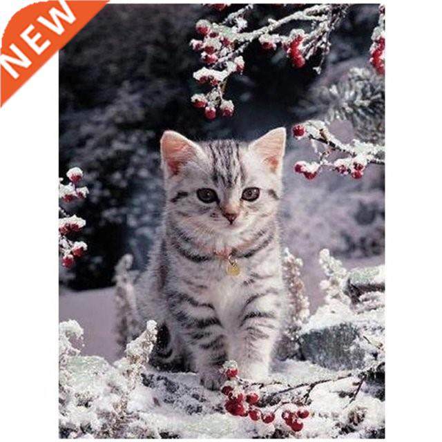 DIY Diamond Painting Kit Full Drill for Adult/Kid, Snow Kitt