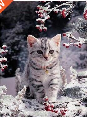 DIY Diamond Painting Kit Full Drill for Adult/Kid, Snow Kitt