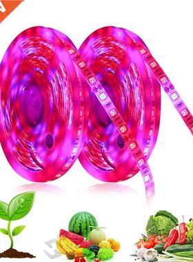 Full Spectrum LED Grow Light Phytolamp Grow LED Strip 12V Fl