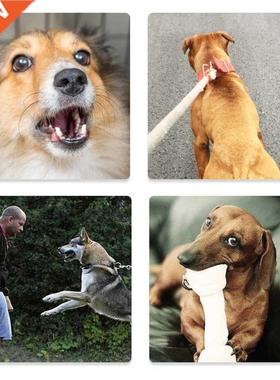 Ultrasonic Dog Bk Deterrent Bking Control Device 2 in 1