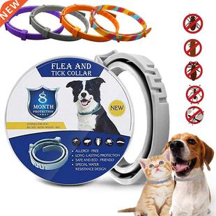 Removes Flea And Tick Collar for Dogs Cats Up To 8 Month Fle