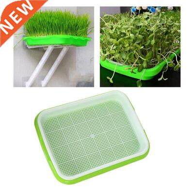Seed Sprouter Tray Double Layer Soilless Bean Culture Hydrop