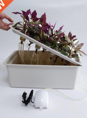 Household 11 Holes Hydroponic Growing System Kit Garden Soil