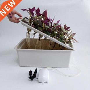 Hydroponic Growing System Household Garden Holes Kit Soil